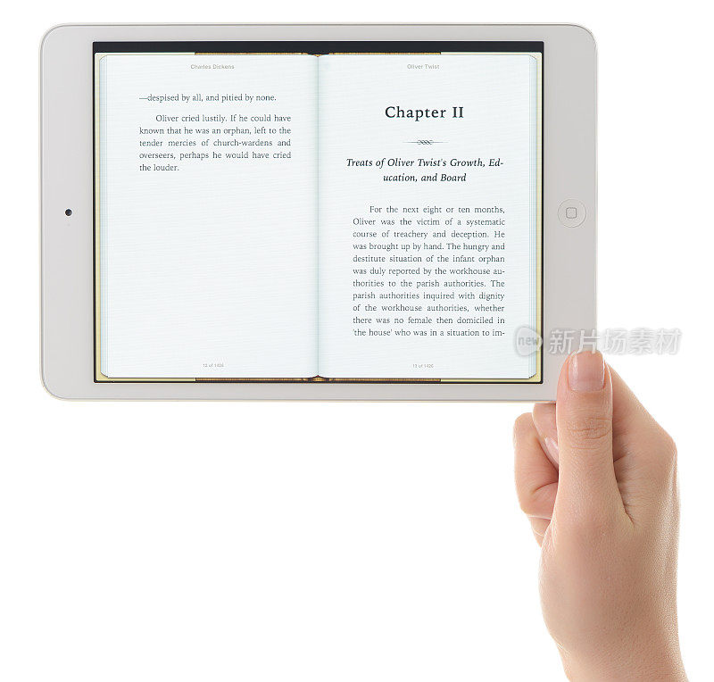 iPad Mini上的电子书